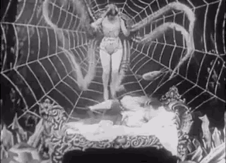 Spider Woman GIF - Spider Woman Nightmare GIFs