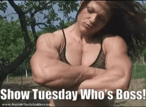 Tuesday Show Tuesday Whos Boss GIF