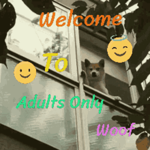 Adults Only Welcome GIF - Adults Only Welcome Dog GIFs
