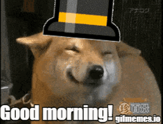 Dogecoin Go Brr Top Hat GIF - Dogecoin Go Brr Top Hat Max L GIFs