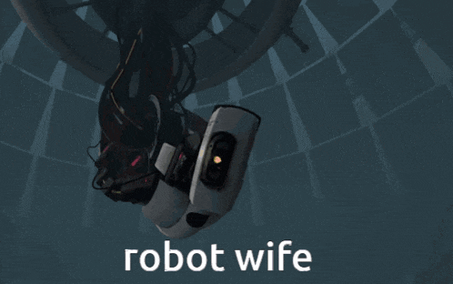 a robot with the word robot wife written below it
