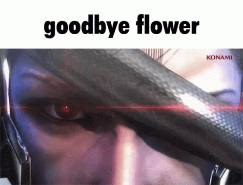 Goodbye Kaoru Goodbye Flower GIF - Goodbye Kaoru Goodbye Flower GIFs