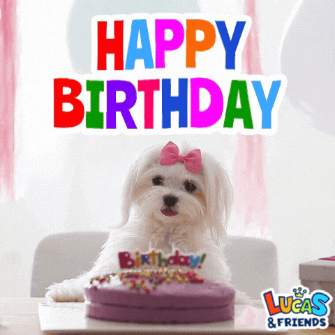 a small white dog with a pink bow on its head sits in front of a birthday cake that says happy birthday