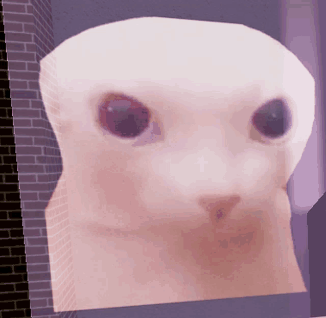 a close up of a cat 's face against a brick wall