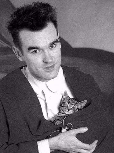 Morrissey Kitten GIF - Morrissey Kitten The Smiths GIFs