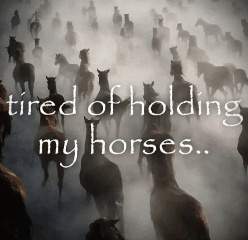 Tired Of Holding My Horses Hold Your Horses Meme - Tired of holding my ...