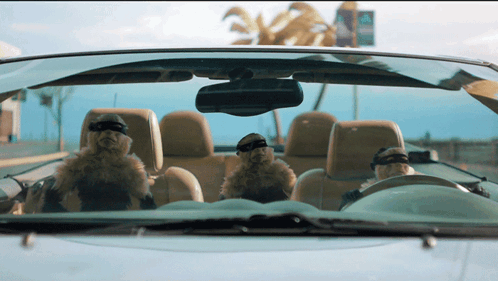 Aunt Angie Cg GIF - Aunt Angie Cg Monkeys Driving GIFs