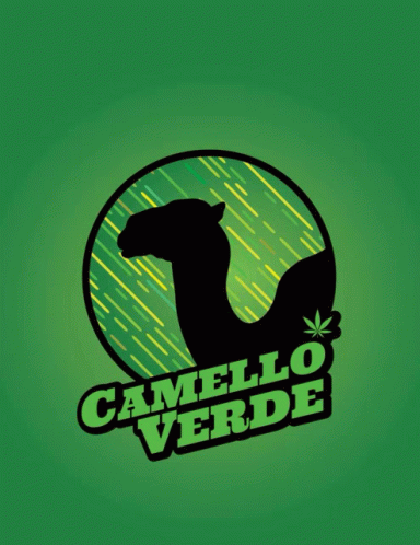 Camelloverde Camelloverde1 GIF - Camelloverde Camelloverde1 GIFs