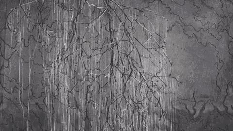 a black and white drawing of a tree branch on a wall