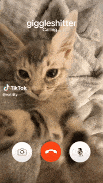 a cat is laying on a blanket with the words giggleshitler calling