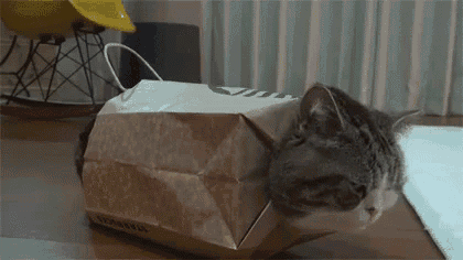 a cat is laying in a brown paper bag on a table .