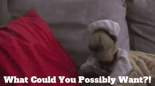 a puppet is laying on a bed with the words " what could you possibly want " above it