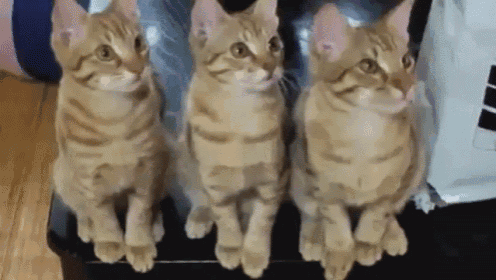 Yes, Go On GIF