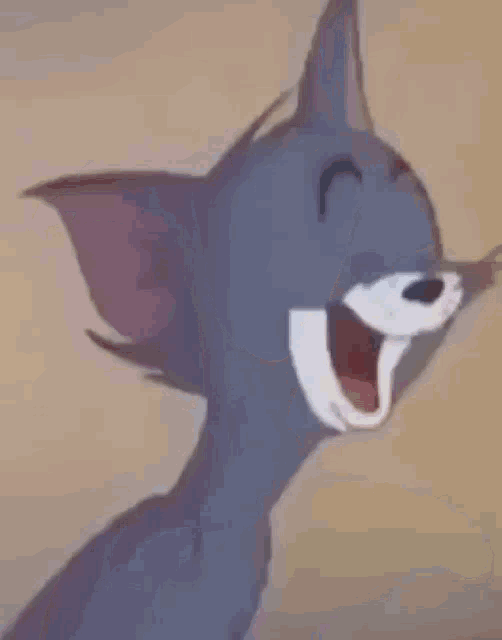 Tom Tom And Jerry GIF - Tom Tom And Jerry Tom Laughing GIFs