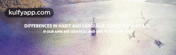 Differences In Habit And Languaceie Our Aims Are Identical And Du.Gif GIF - Differences In Habit And Languaceie Our Aims Are Identical And Du Text Business Card GIFs