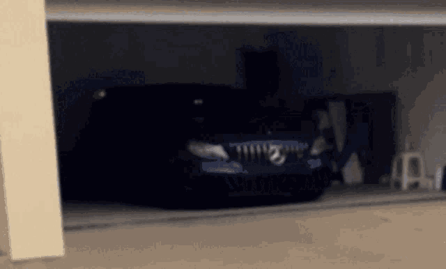 Etjan GIF