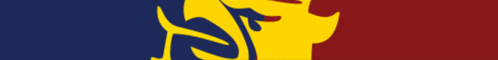 a blue yellow and red flag with a shadow of a person on it