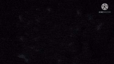 a close up of a person 's face with the words kinemaster on the bottom right