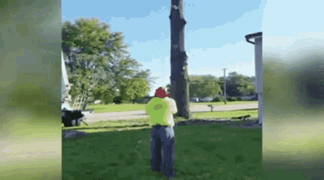 Tree Trimming Branch GIF - Tree Trimming Branch Sail GIFs
