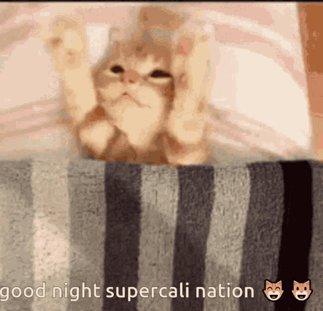 a cat laying on a striped blanket with the words good night supercali nation