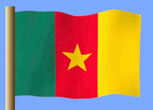 Kamerun Cameroon GIF - Kamerun Cameroon Cameroon Flag GIFs
