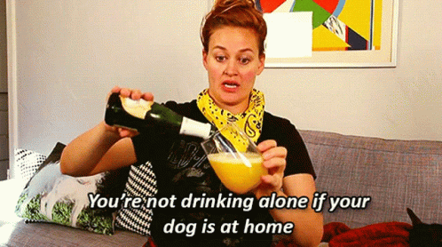 You Are Not Drinking Alone Dog GIF - You Are Not Drinking Alone Dog Cat GIFs