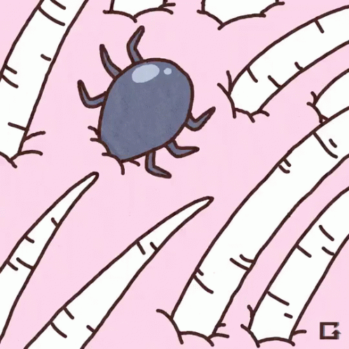Tick GIF - Ticks Animal Bug GIFs