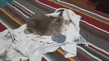 a cat is laying on a striped blanket with a rocket on it