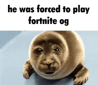 a seal with a caption that says he was forced to play fortnite