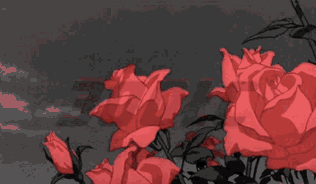 a drawing of red roses with the word 300lc written in black