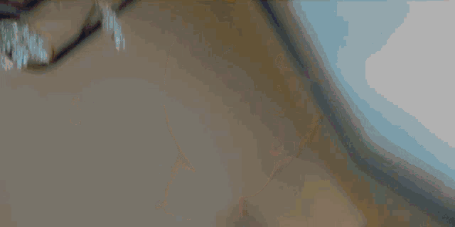 a girl with peach stickers on her face looks at herself in a mirror