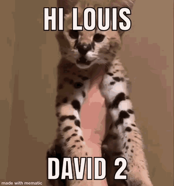 Louis David Serval GIF - Louis David Serval Hi GIFs