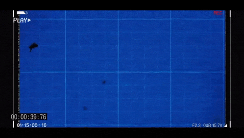 a blue screen with the number 2 displayed on it