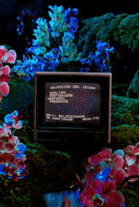 a tv with a white screen is surrounded by flowers and a remote control