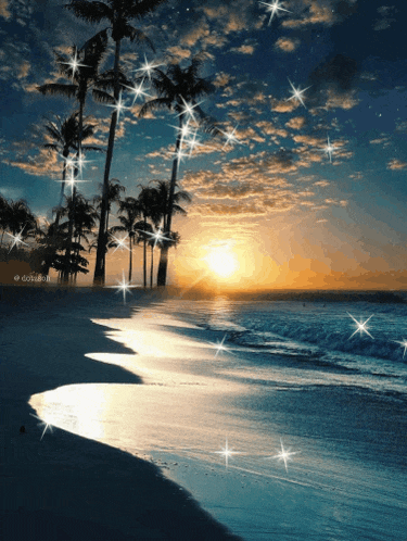 a beach scene with palm trees and the sun shining through them