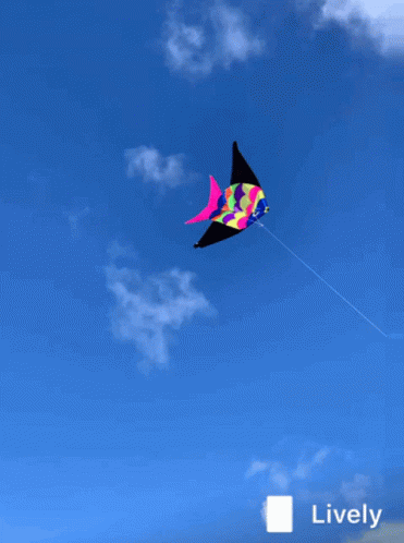 Kite Fly GIF - Kite Fly Bluesky GIFs