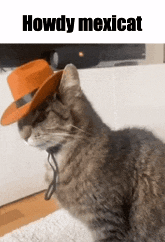 a cat wearing a cowboy hat with the words howdy mexicat on the bottom