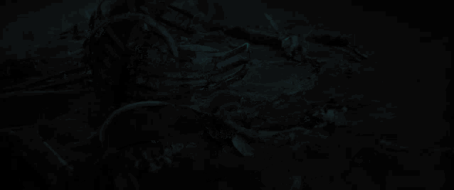 a skeleton is laying on the ground in a dark room