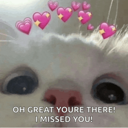 a white cat with pink hearts on its head and the words `` oh great youre there i missed you ''