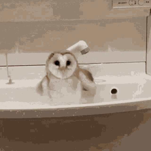 Dont Even Think About It Sorry There Is Only Room For Me GIF - Dont Even Think About It Sorry There Is Only Room For Me Bath Time GIFs