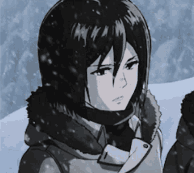 Mikasa GIF - Mikasa GIFs