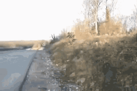 a blurred image of a road with trees on the side of it