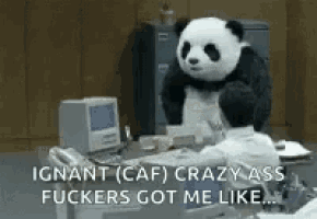 a panda bear is standing in front of a man sitting at a desk .