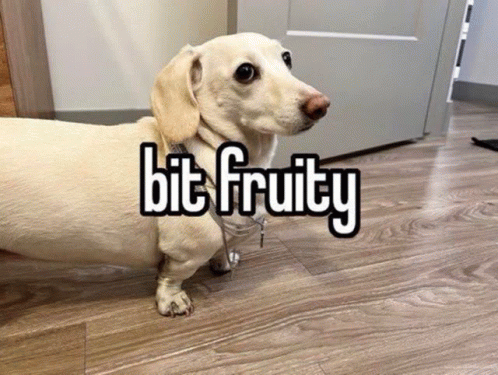 Homophobic Dog GIF - Homophobic Dog GIFs