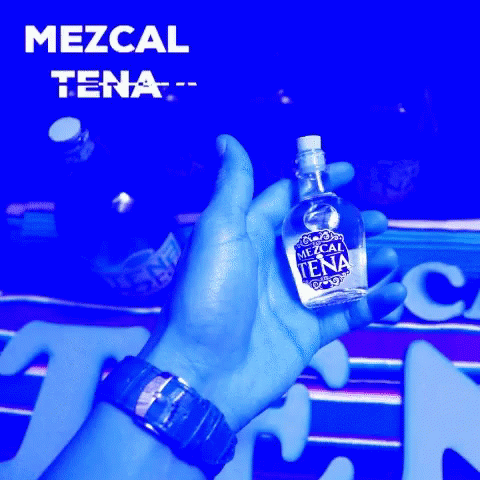 Mezcaltena Agave GIF - Mezcaltena Mezcal Agave GIFs