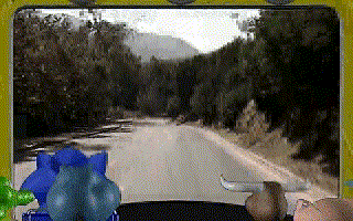 a person is driving down a road with trees on the side