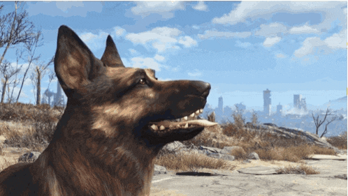 a german shepherd dog is looking up at the sky