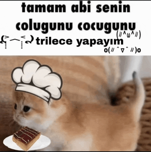 a cat wearing a chef 's hat is eating a piece of cake