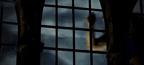 a werewolf is standing in front of a window looking out