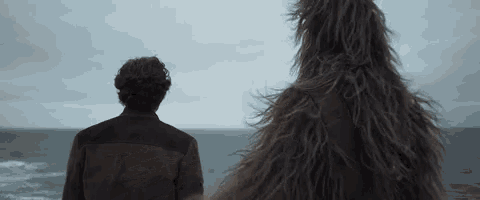 a man and a chewbacca are standing next to each other near the ocean .